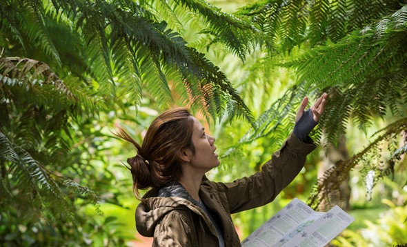 Woman outdoors examining a branch with botanical reference leaflet in hand