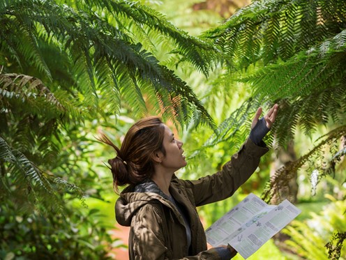 Woman outdoors examining a branch with botanical reference leaflet in hand